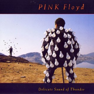[Pink Floyd] Delicate Sound Of Thunder